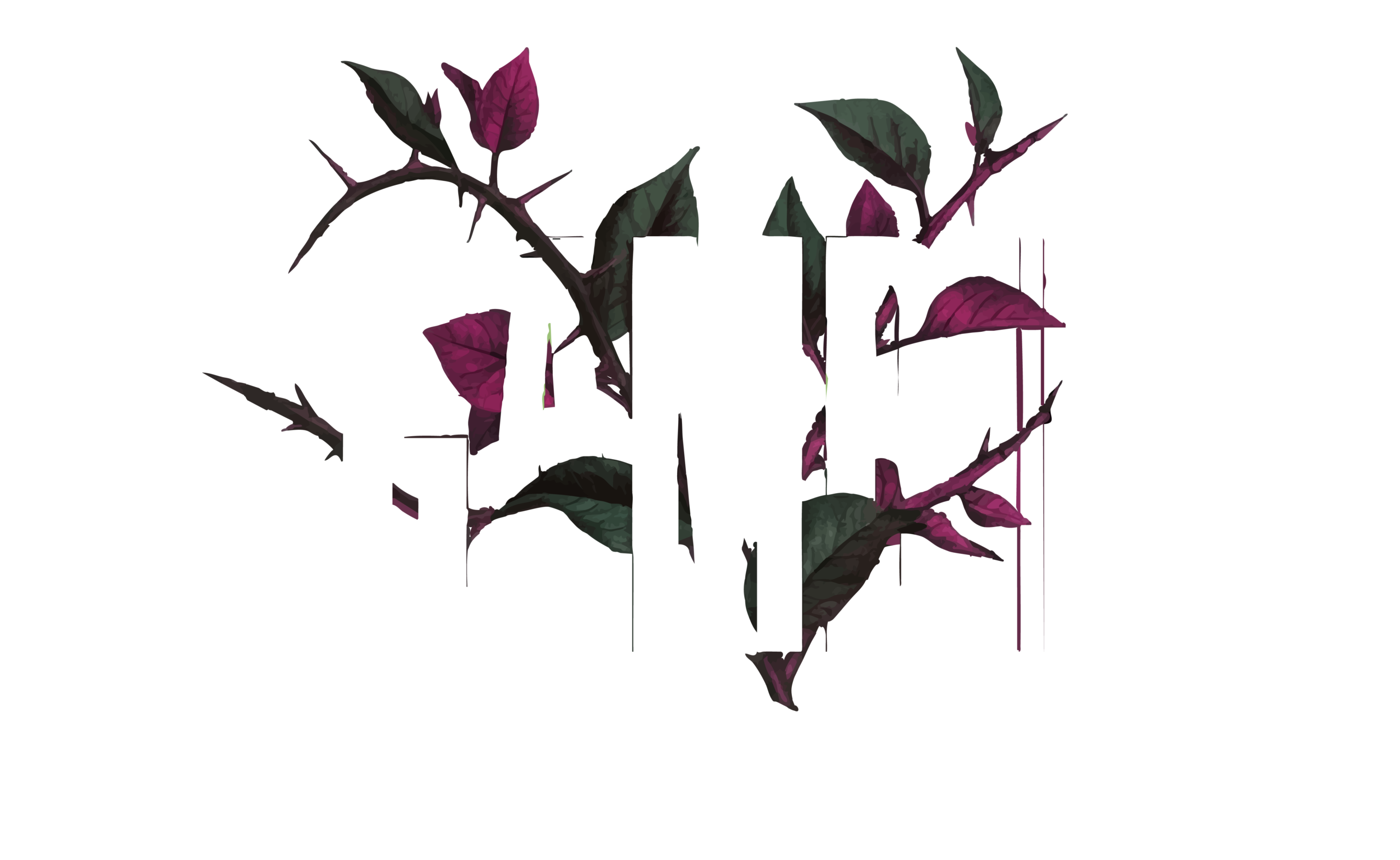 logo bugambilia vol 1 final 01