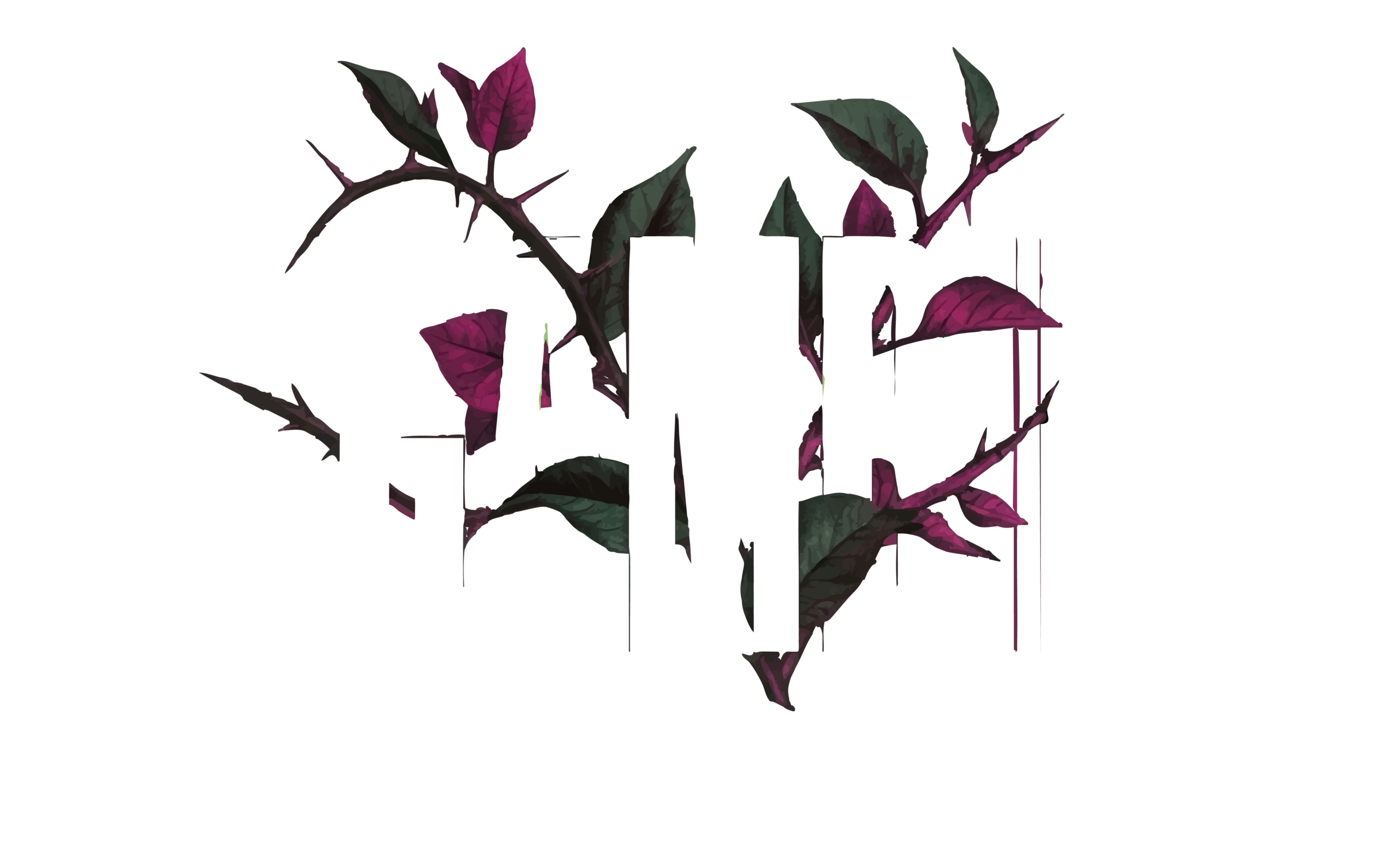 logo bugambilia vol 2 b 01